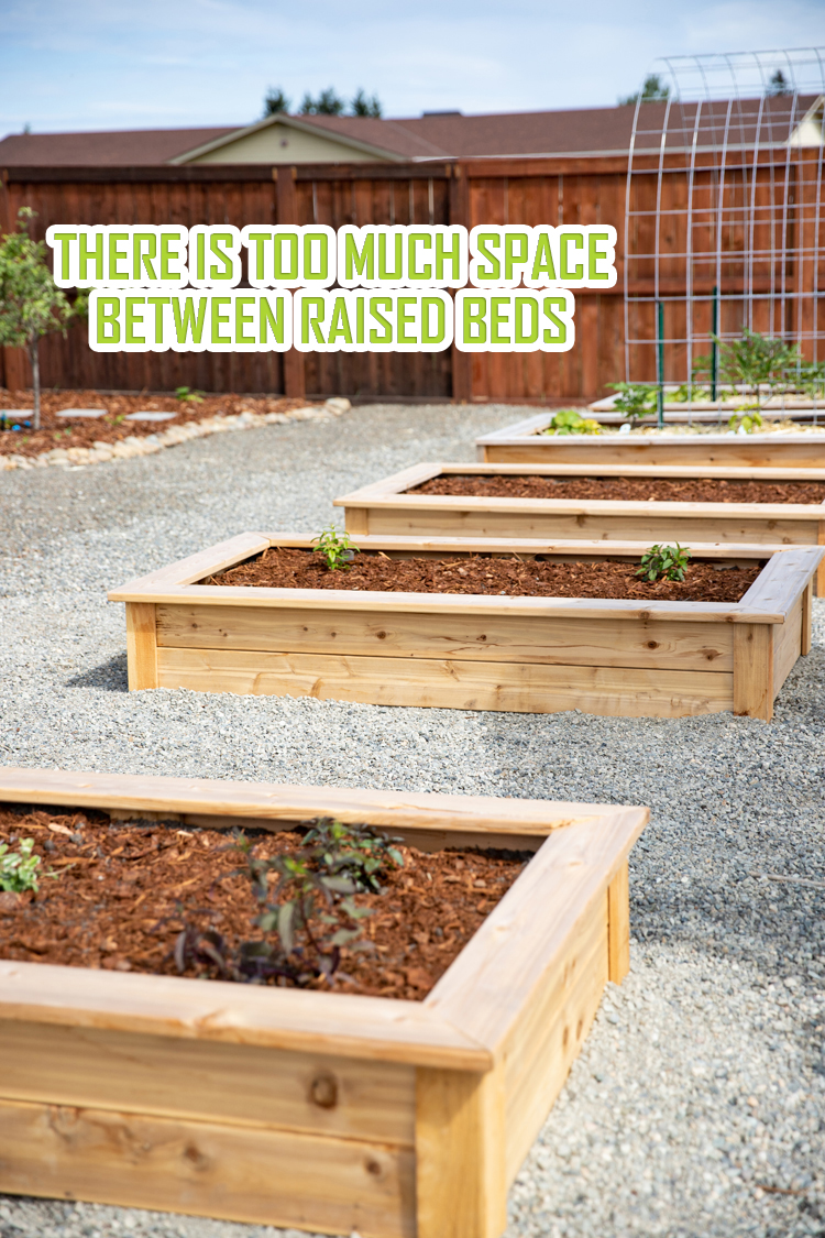 There is too much space between raised beds