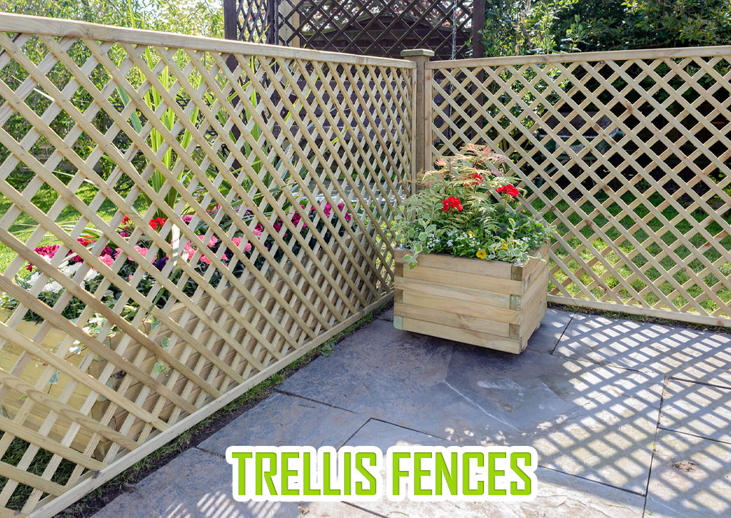 Trellis Fences