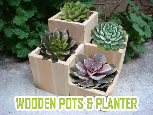 Wooden Pots & Planter