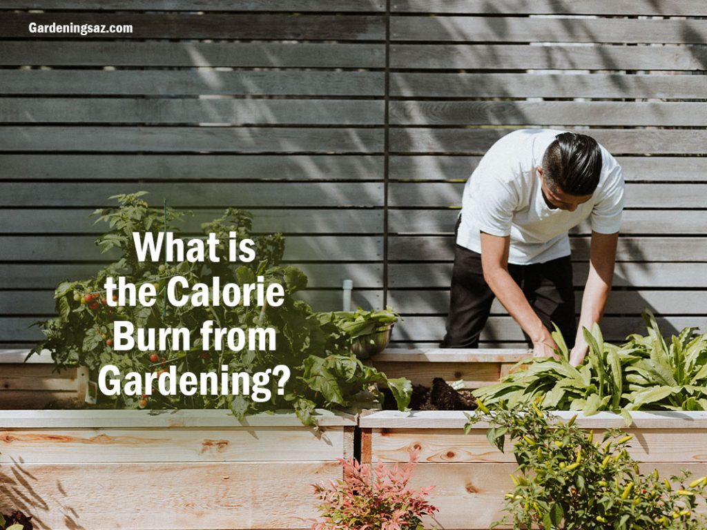 What is the Calorie Burn from Gardening?