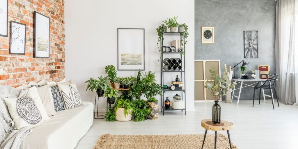 Living Room Indoor Plants Decoration Ideas