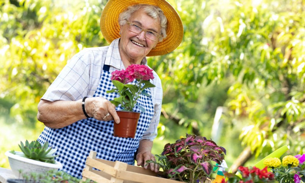 11 Gardening Mental Health Benefits - Gardenings A to Z