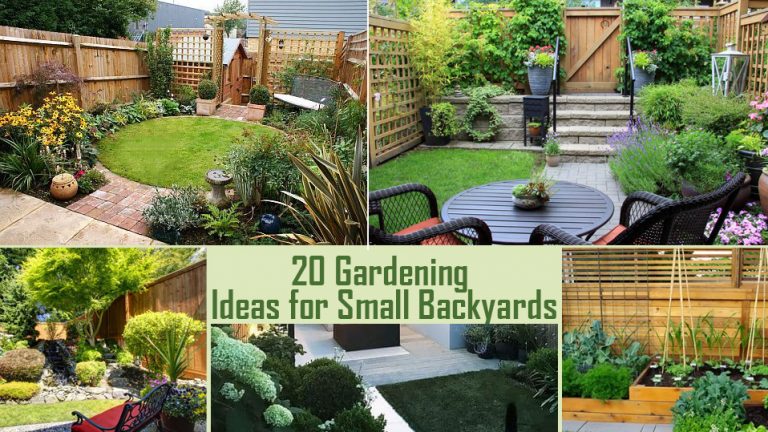 20 Gardening Ideas For Small Backyards