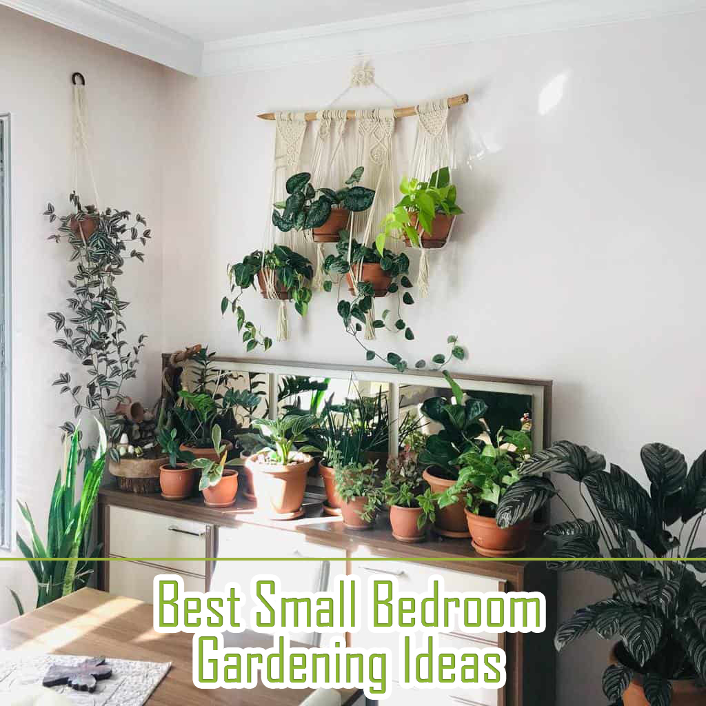Best Small Bedroom gardening ideas