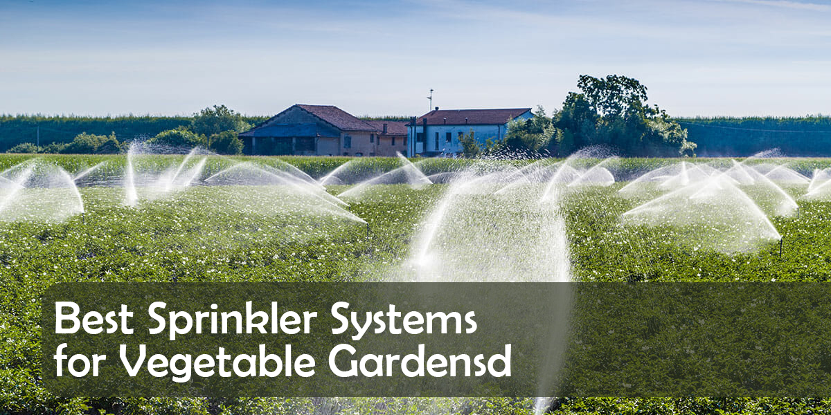 Best Sprinkler Systems for Vegetable Gardens