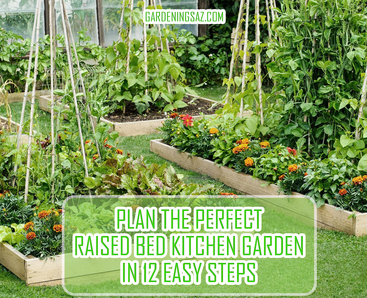 Plan the Perfect Raised Bed Kitchen Garden in 12 Easy Steps