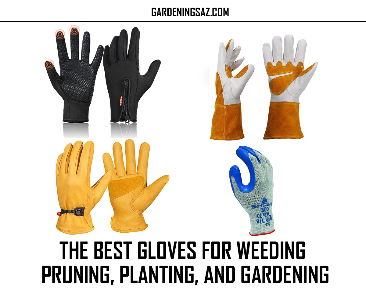 The Best Gloves for Weeding Pruning, Planting, and Gardening, gardeningsaz