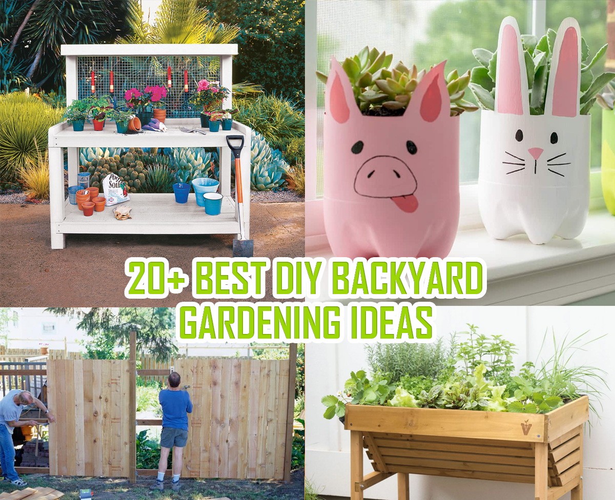 20+ Best DIY Backyard Gardening Ideas