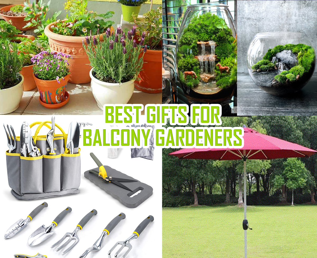 Best Gifts for Balcony Gardeners