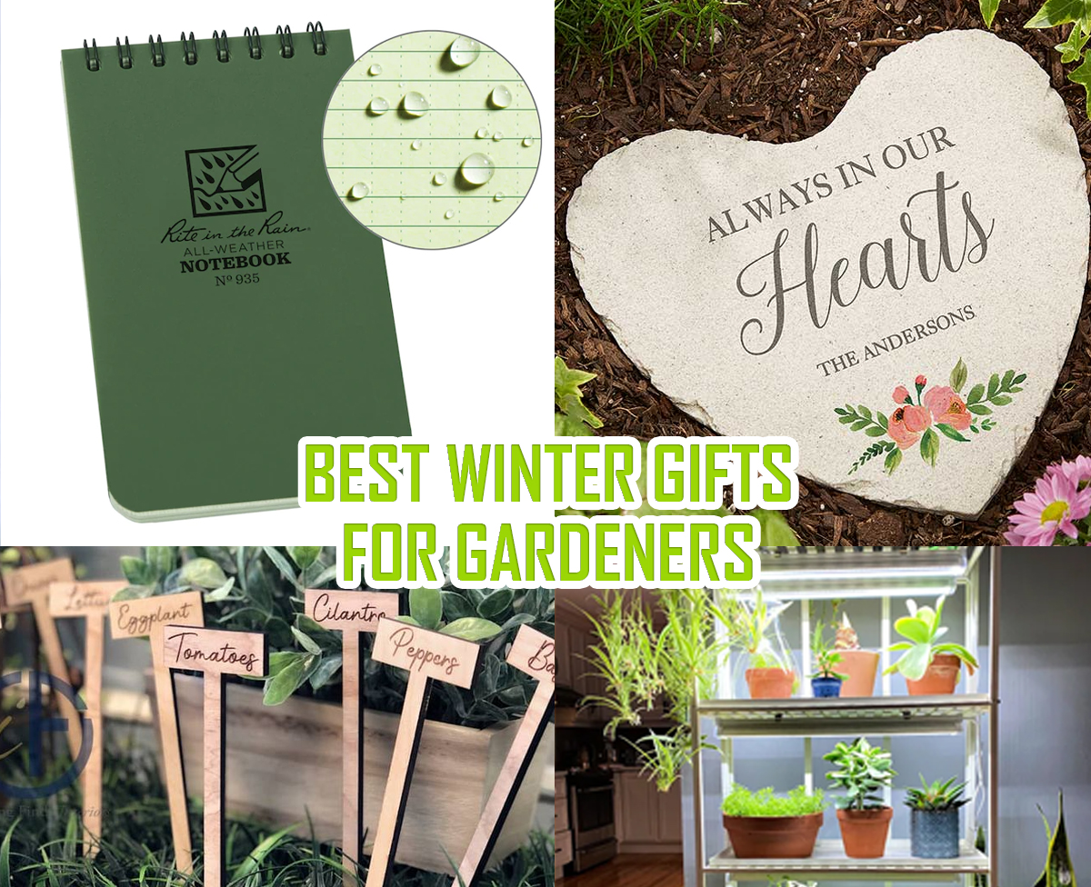 Best Winter Gifts for Gardeners