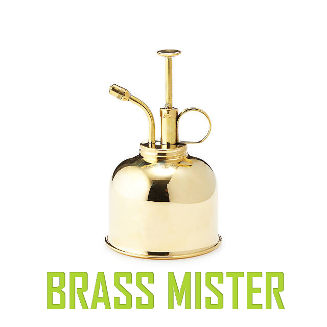 Brass Mister