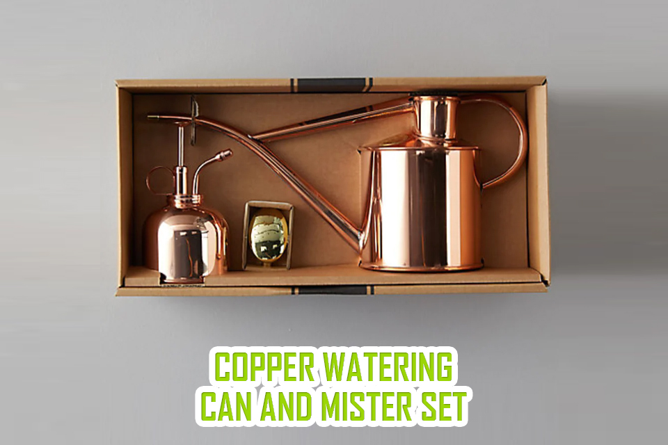 Copper Watering Can and Mister Set
