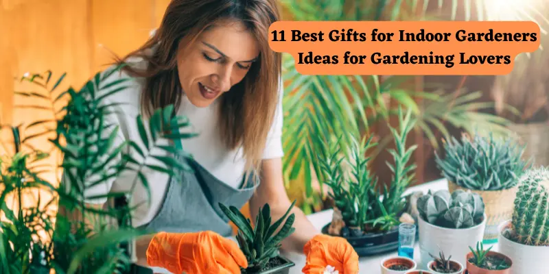 Gifts for Indoor Gardeners