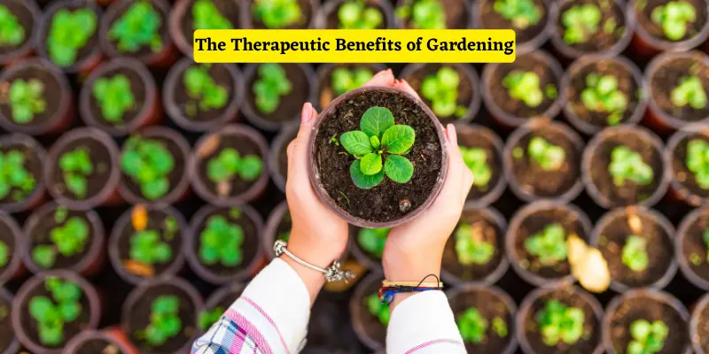 The Therapeutic Benefits of Gardening_ How Horticulture Can Work For Your Health