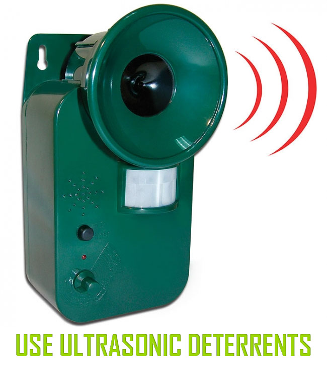Use Ultrasonic Deterrents
