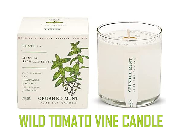 Wild Tomato Vine Candle
