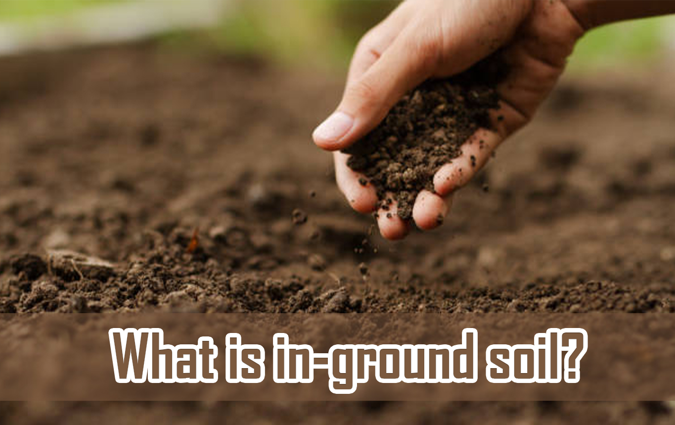 what is in-ground soil