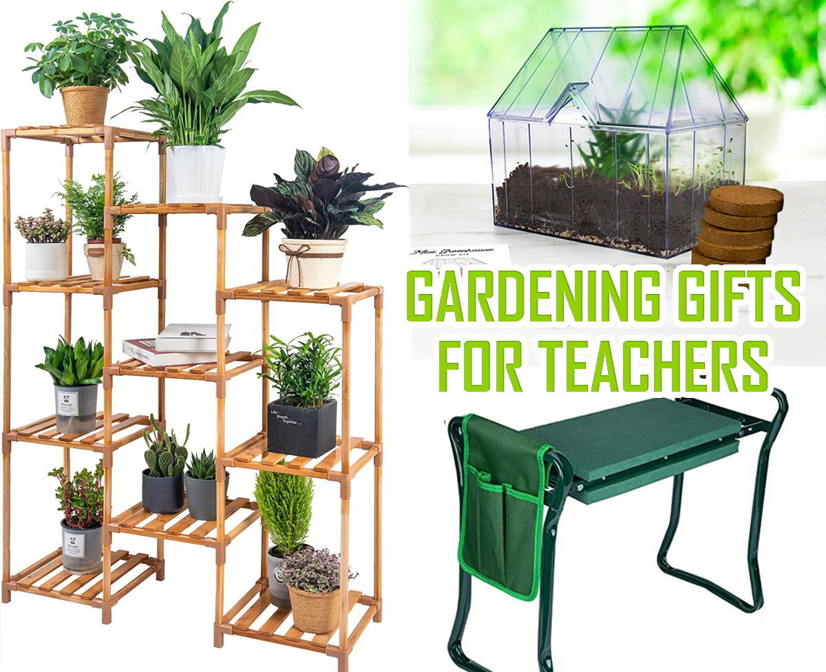 Gardening Gifts for Teachers