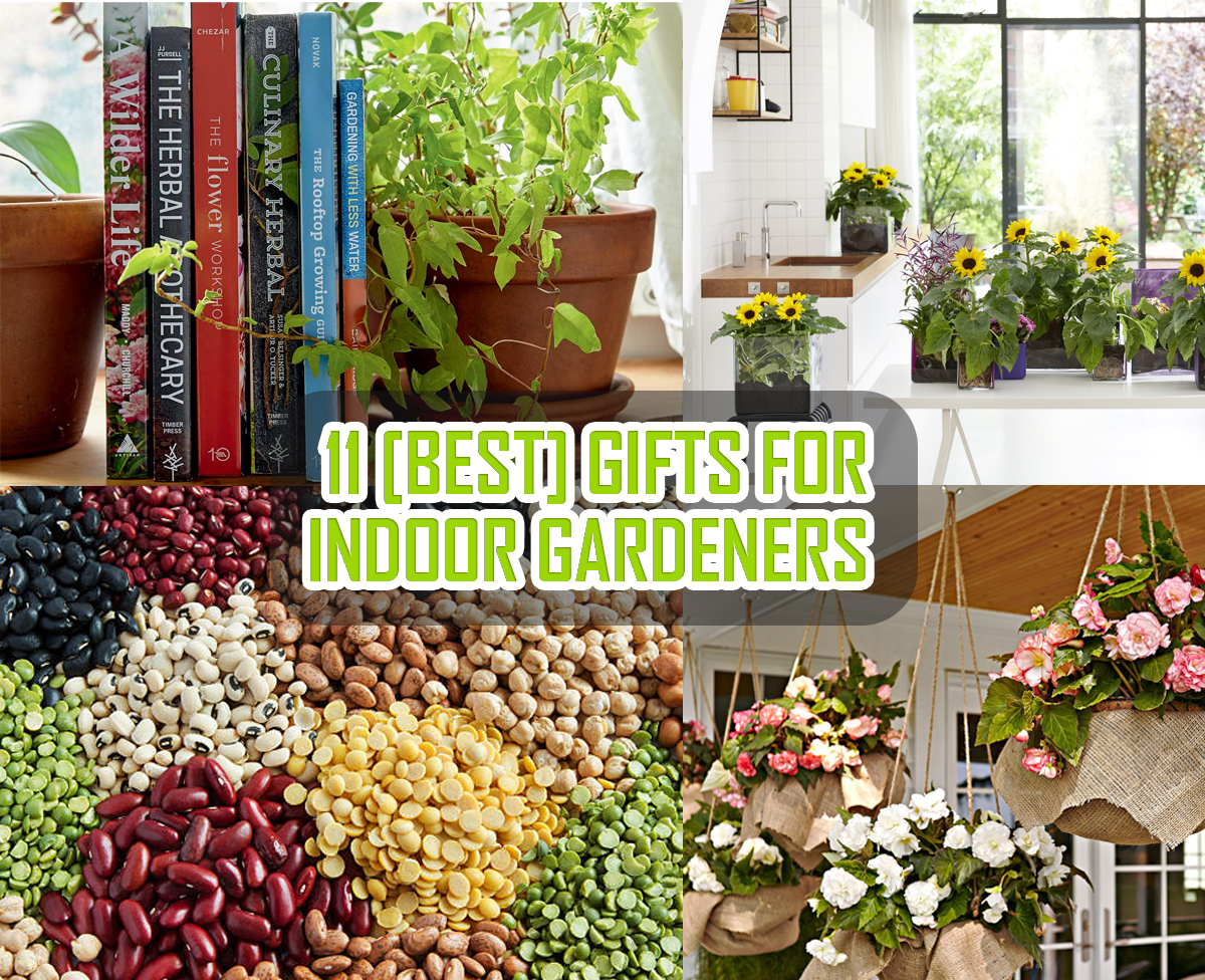 11 Best Gifts for Indoor Gardeners