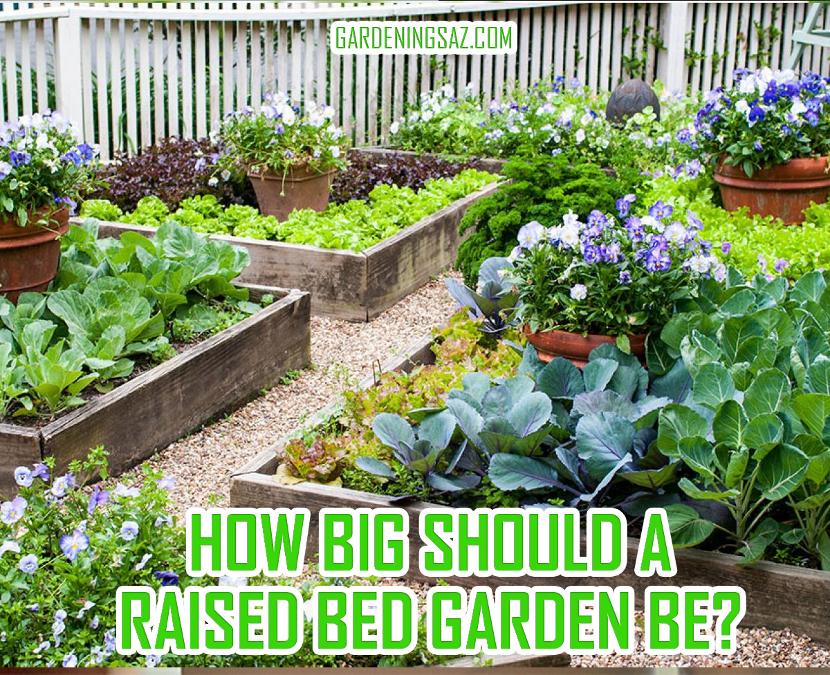How Big Should a Raised Bed Garden Be