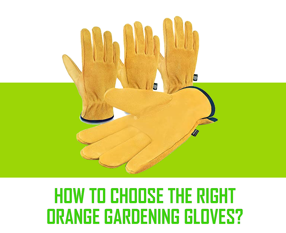 How to Choose the Right Orange Gardening Gloves